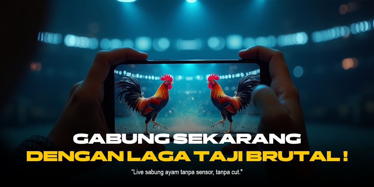 SV388: Sabung Ayam Online dengan Odds Terbaik dan Fitur Unggulan