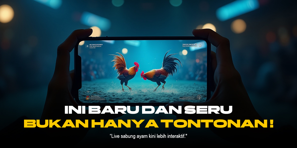 Mengenal Jenis-Jenis Ayam Sabung Terbaik di SV388